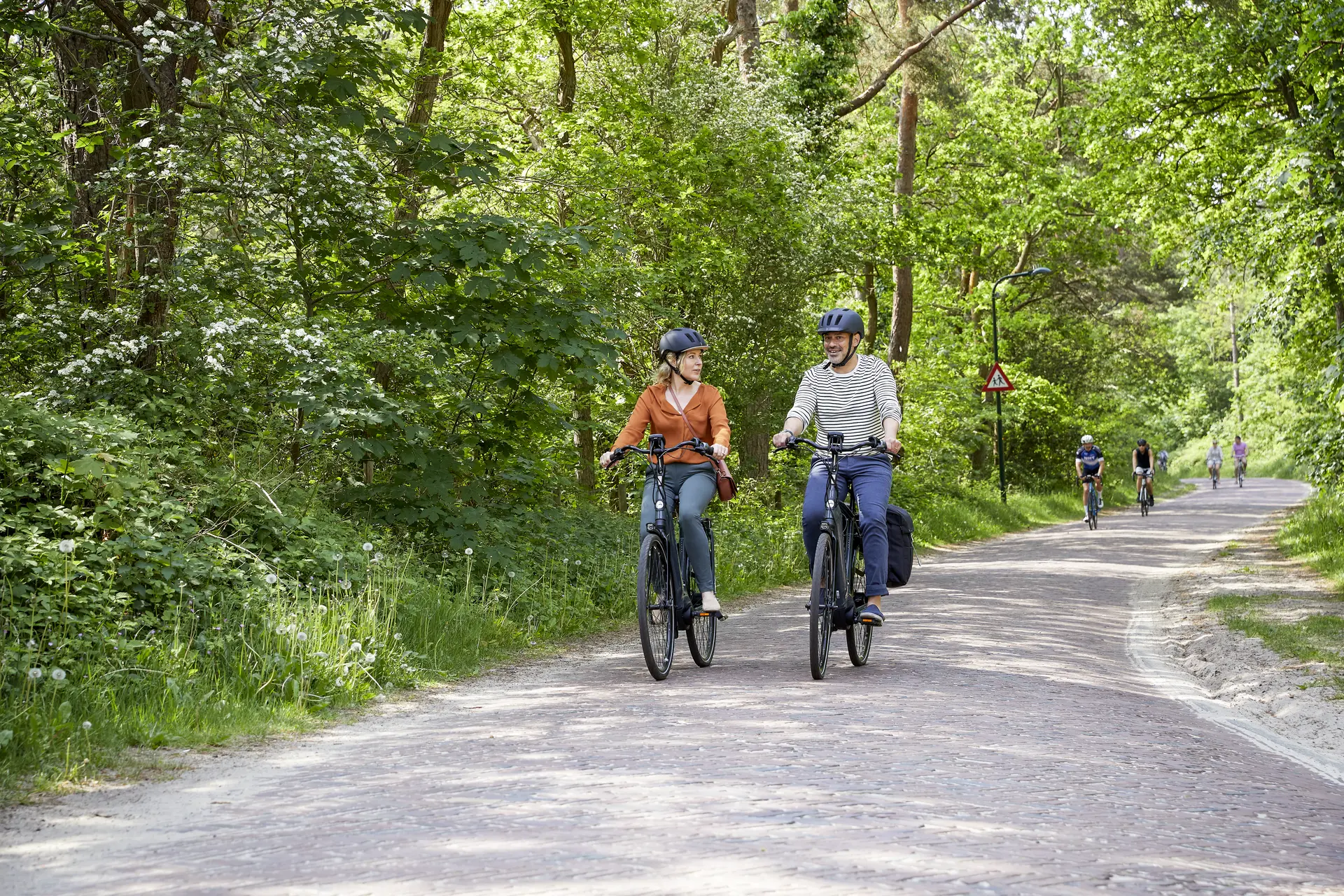 Probefahrt mit Gazelle E-Bikes auf einer entspannten Tour
