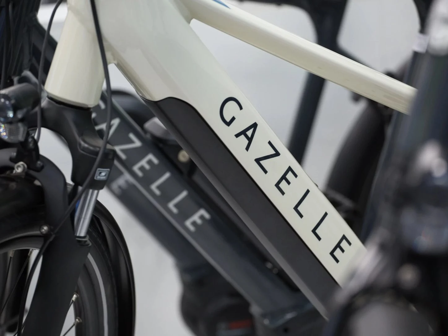 Akku und Rahmen eines Gazelle E-Bikes