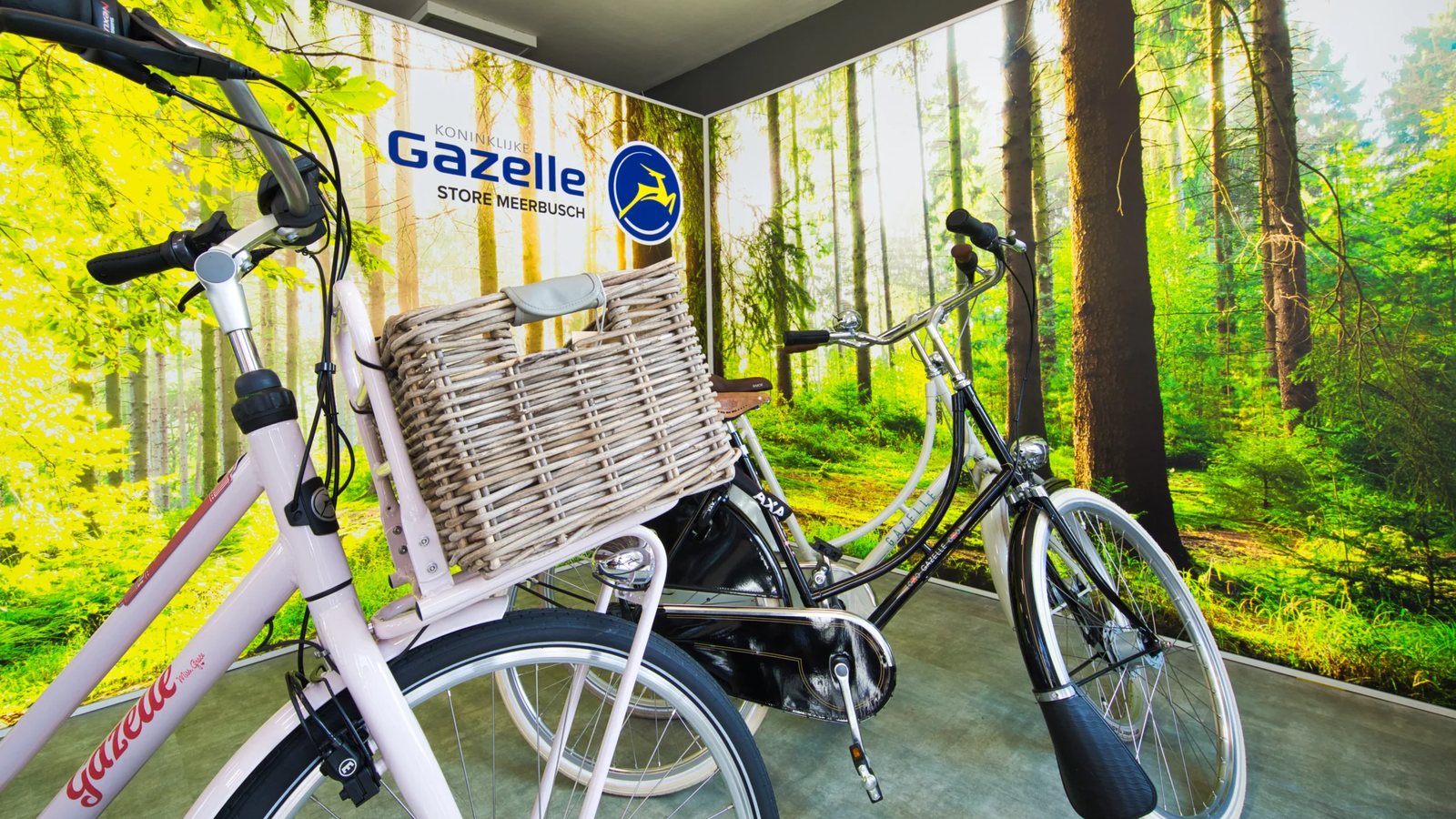 Gazelle Ausstellung im Fahrradgeschäft in Meerbusch
